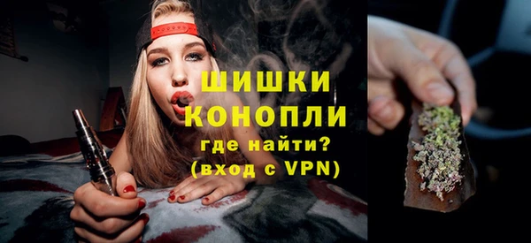 прущие грибы Балахна
