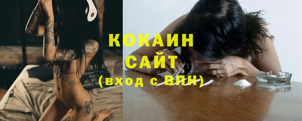 прущие грибы Балахна
