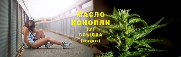 прущие грибы Балахна