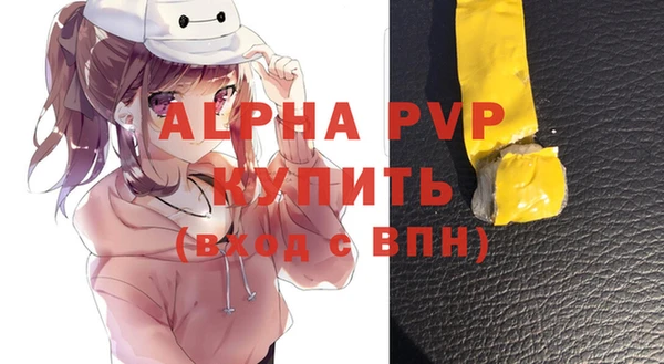 прущие грибы Балахна