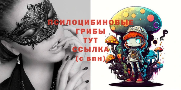 2c-b Баксан