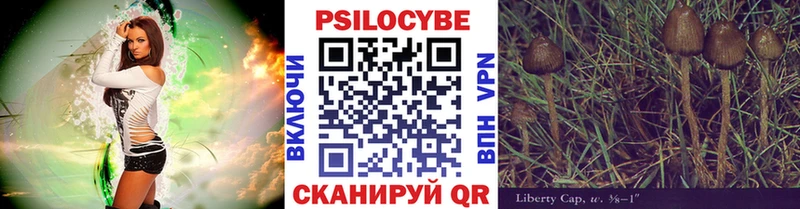Галлюциногенные грибы Psilocybe Кувандык